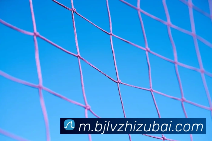 百家乐网站APP 高清赛事图